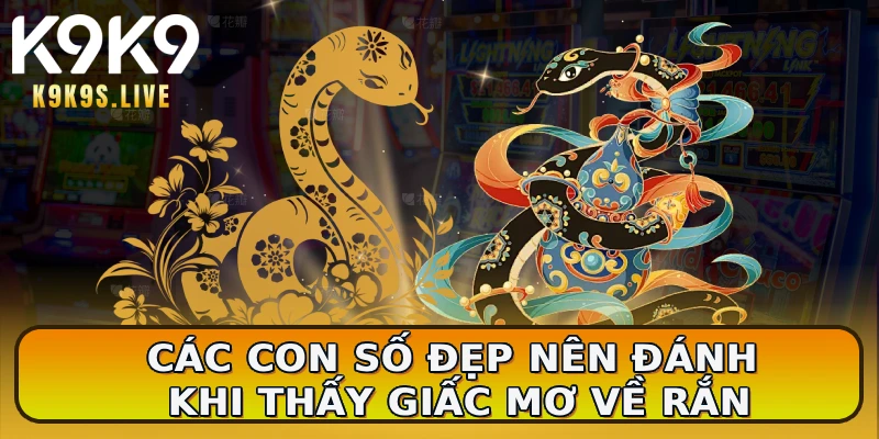 Các con số đẹp nên đánh khi thấy giấc mơ về rắn
