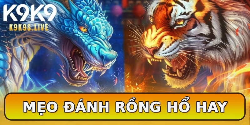 Mẹo đánh rồng hổ hay