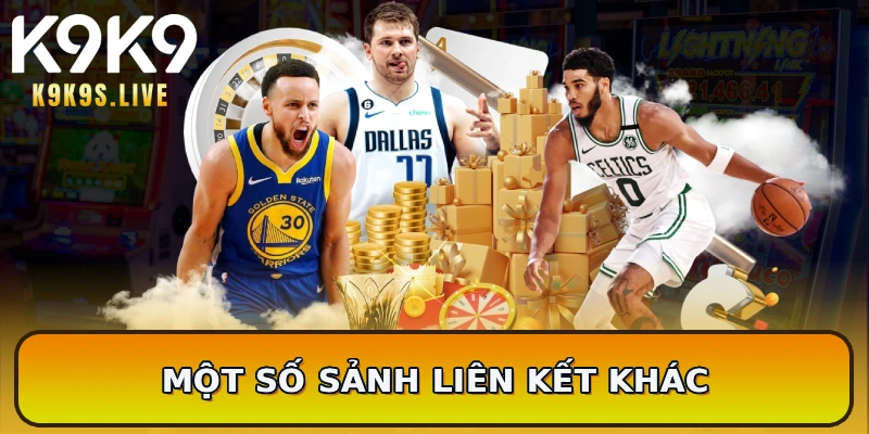 Một số sảnh liên kết khác