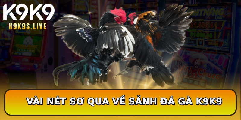 Vài nét sơ qua về sảnh đá gà K9K9